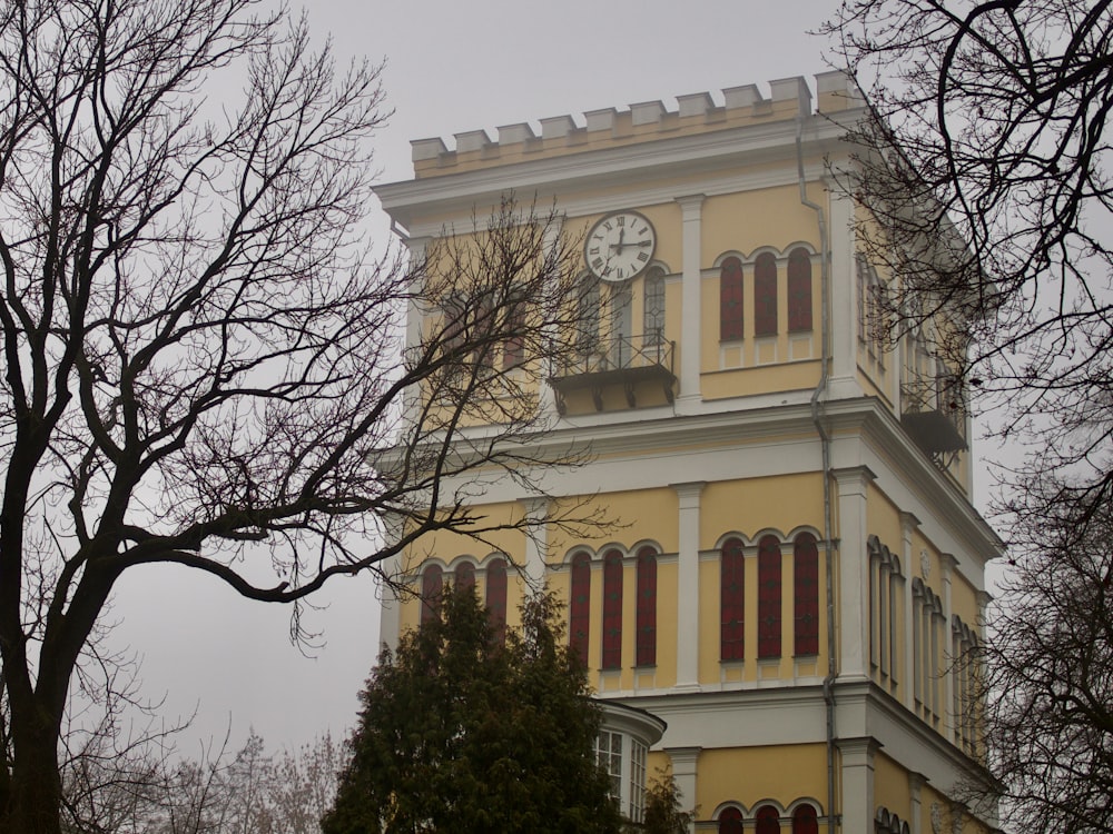 bare trees surrounded brown concrete building