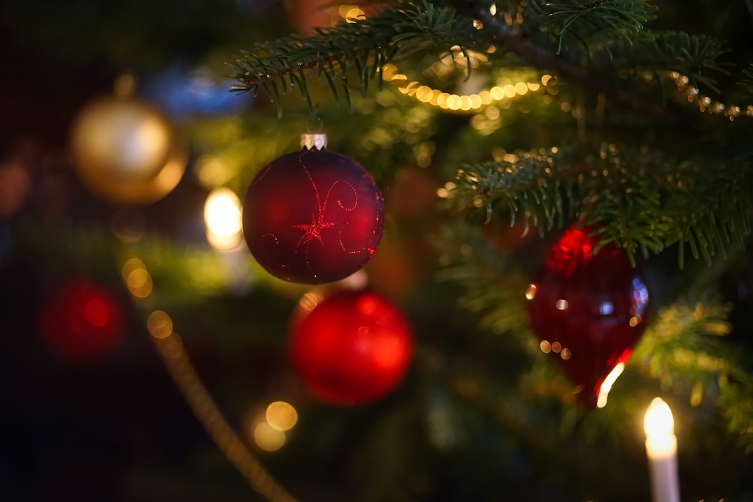 selective focus photography of red baubles on green Christmas tree