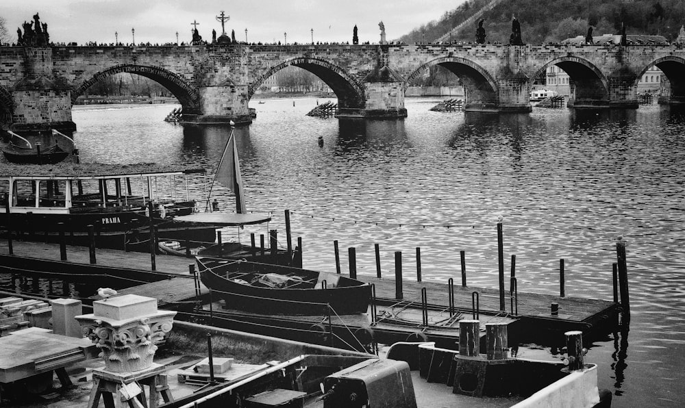 boats on dock during daytime