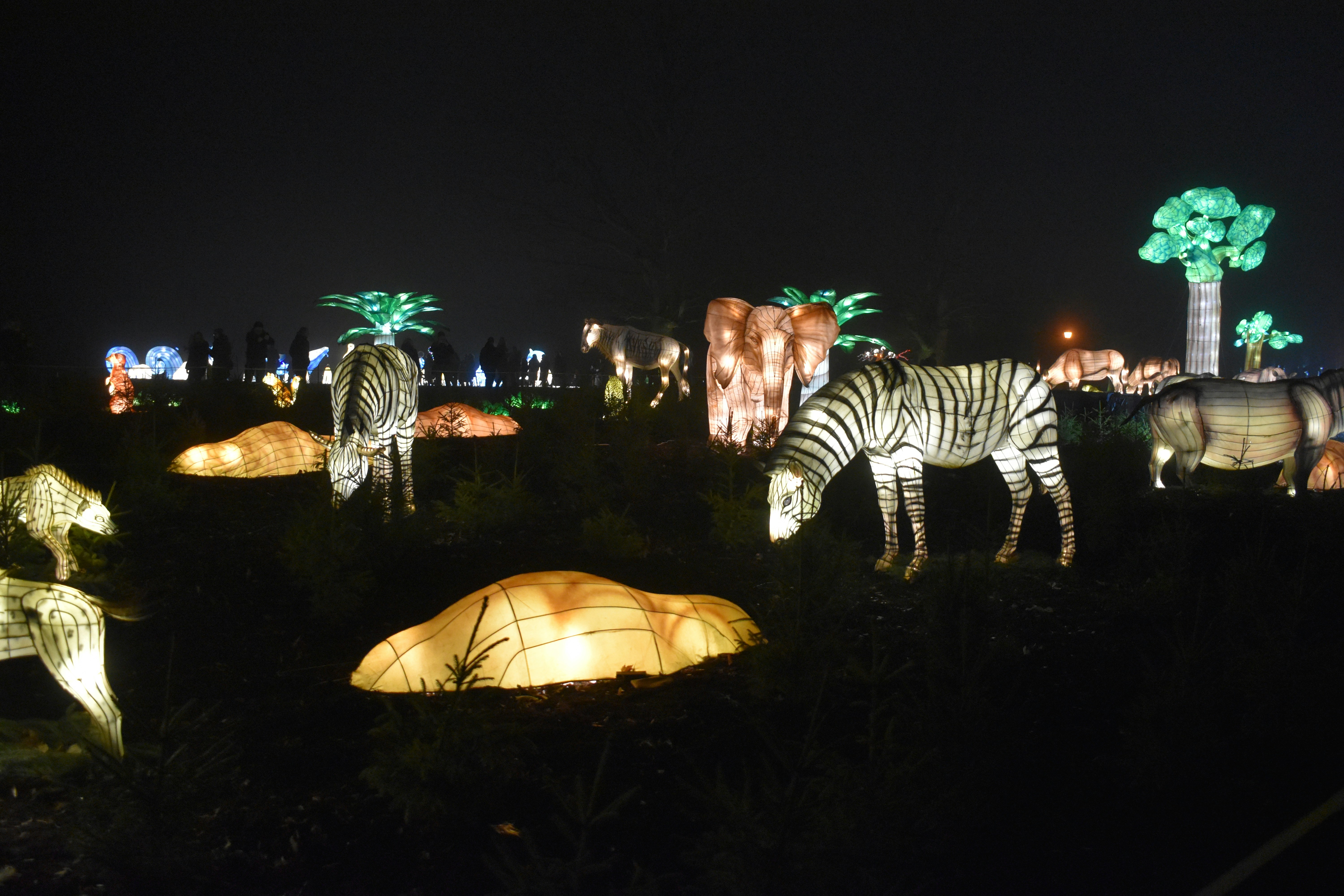 Experience the Magic of Zoo Lights in San Antonio on December 10, 2025