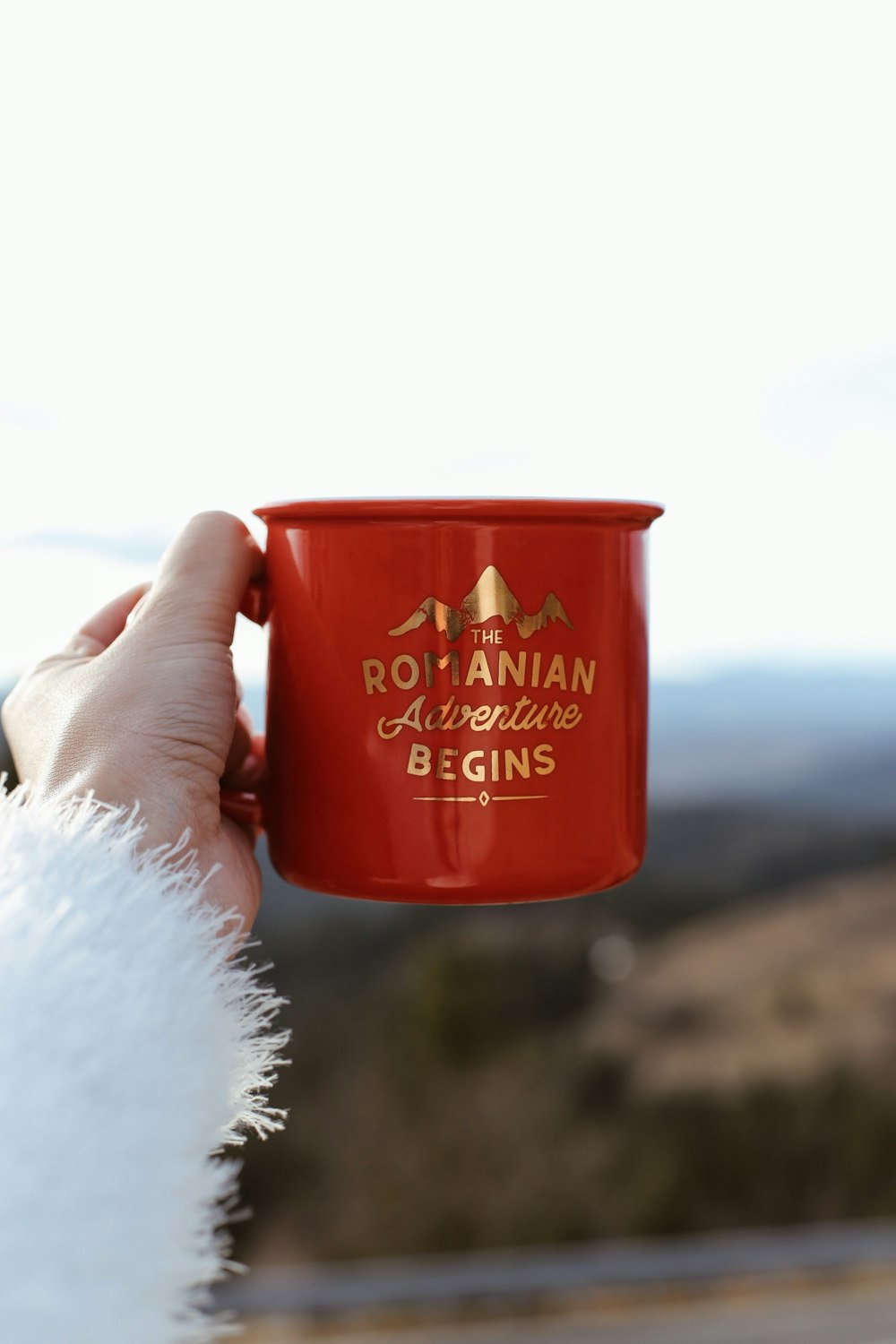 person holding red Romanian Adventure Begins mug