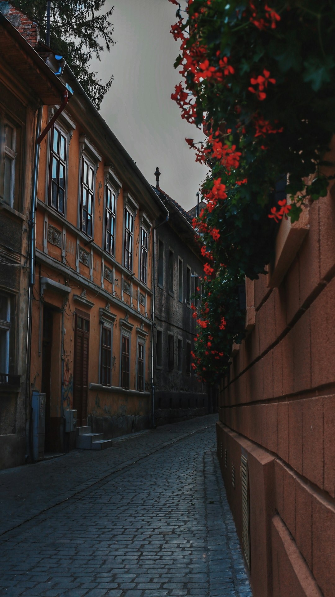 Town photo spot BraÈ™ov Homorod