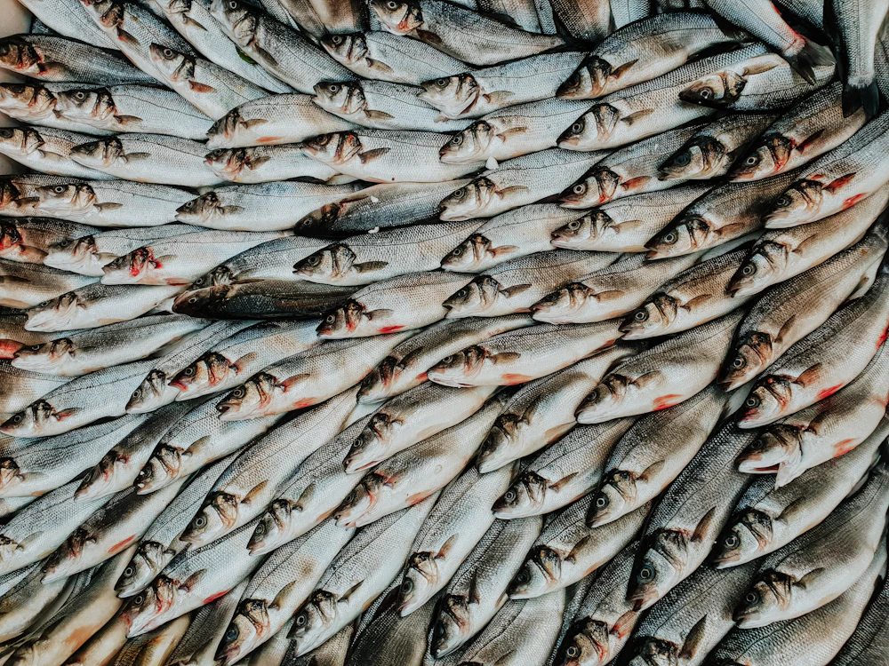 Fresh seafood on ice