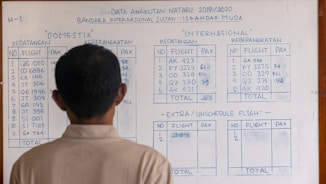 A person is standing in front of a whiteboard that shows flight information. The board is divided into tables presenting domestic and international flights with details such as flight numbers, arrival, and departure data. There are also sections for extra/unscheduled flights. The information is handwritten in blue ink, and the person is facing away from the camera.