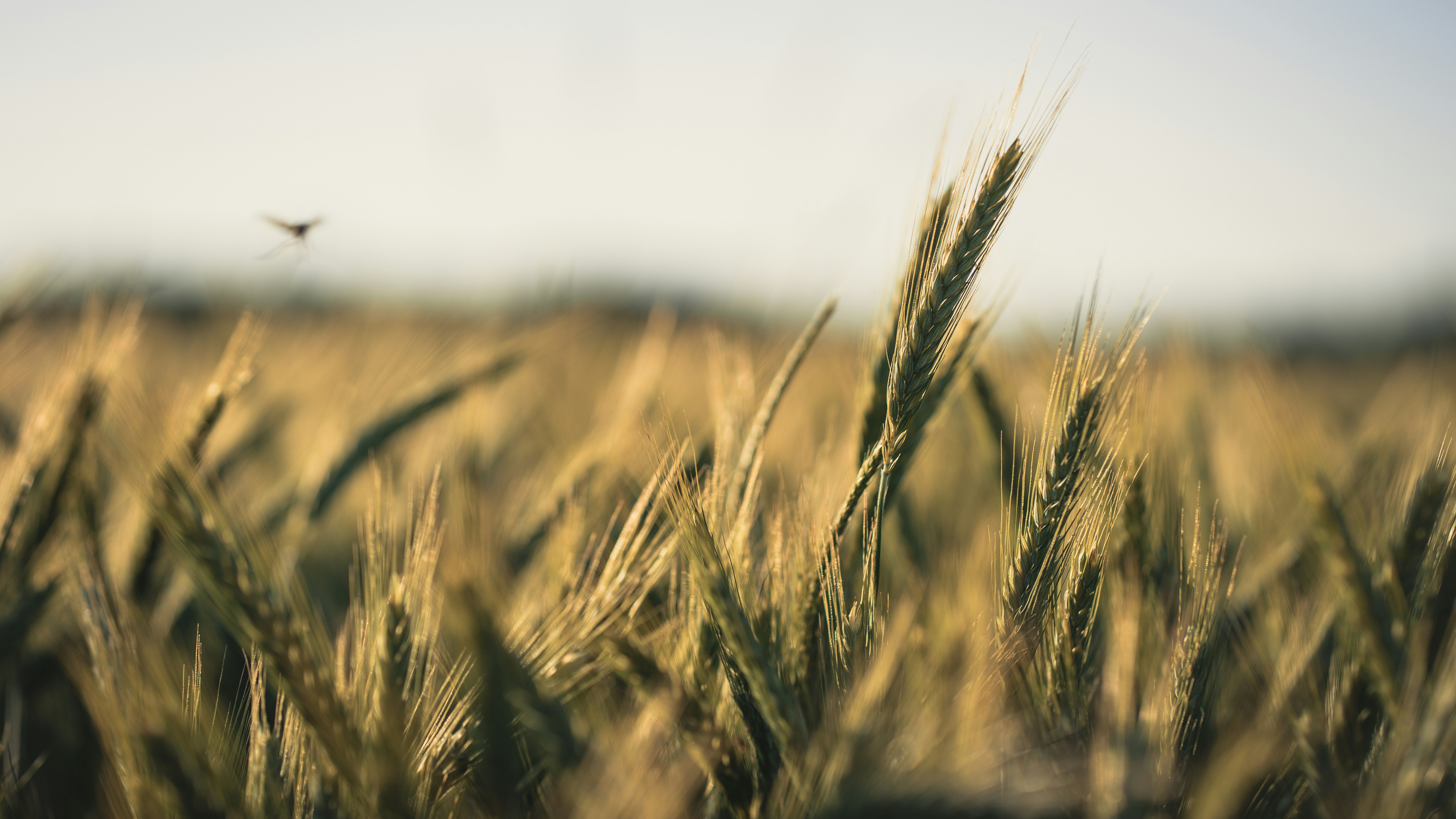 Photo by dominik_kempf