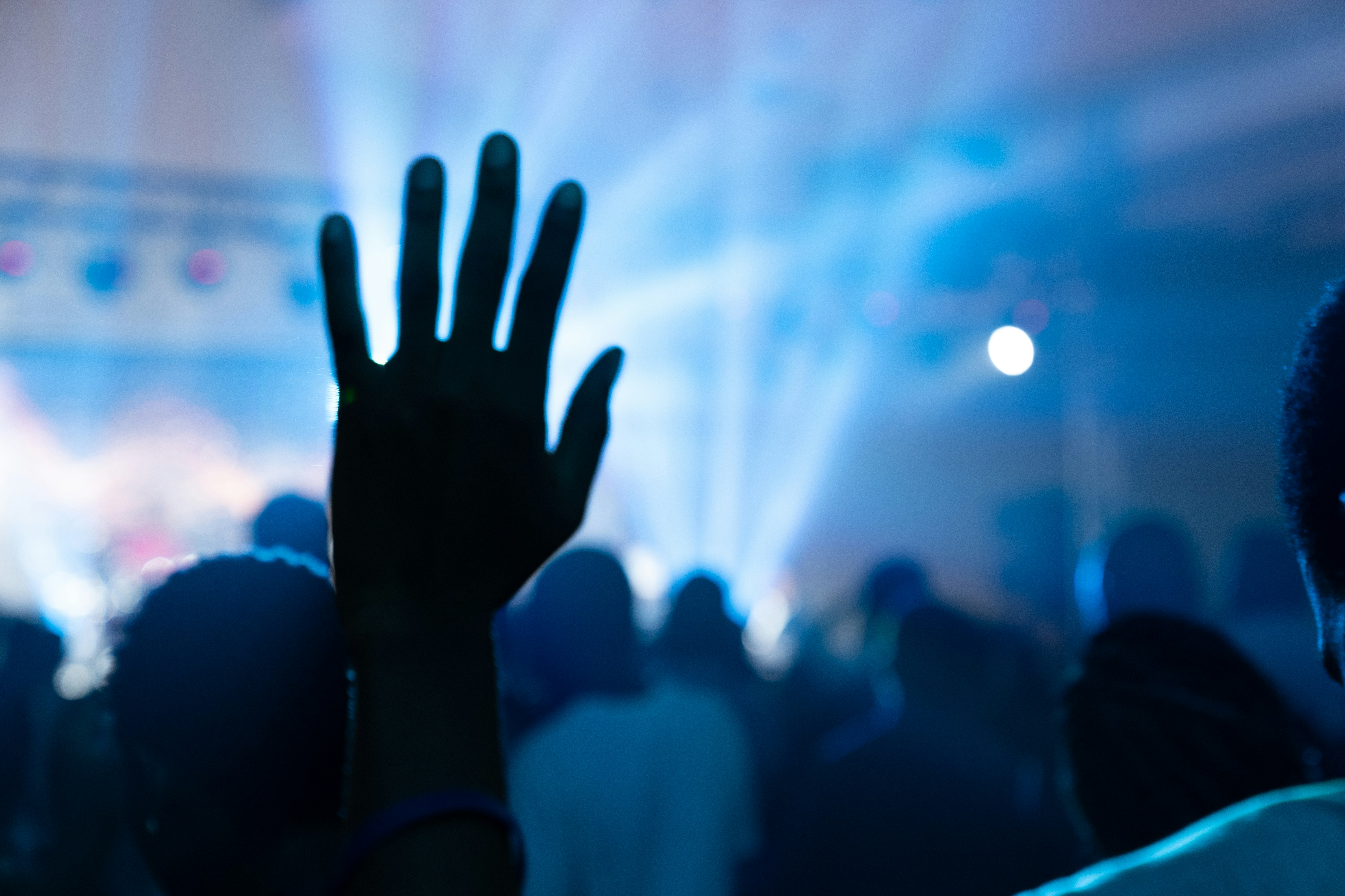 Photo by qimmanifester