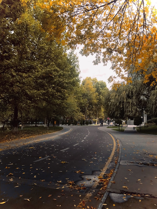 Exploring Tashkent: Local Dishes, Restaurants & Traditional Recipes