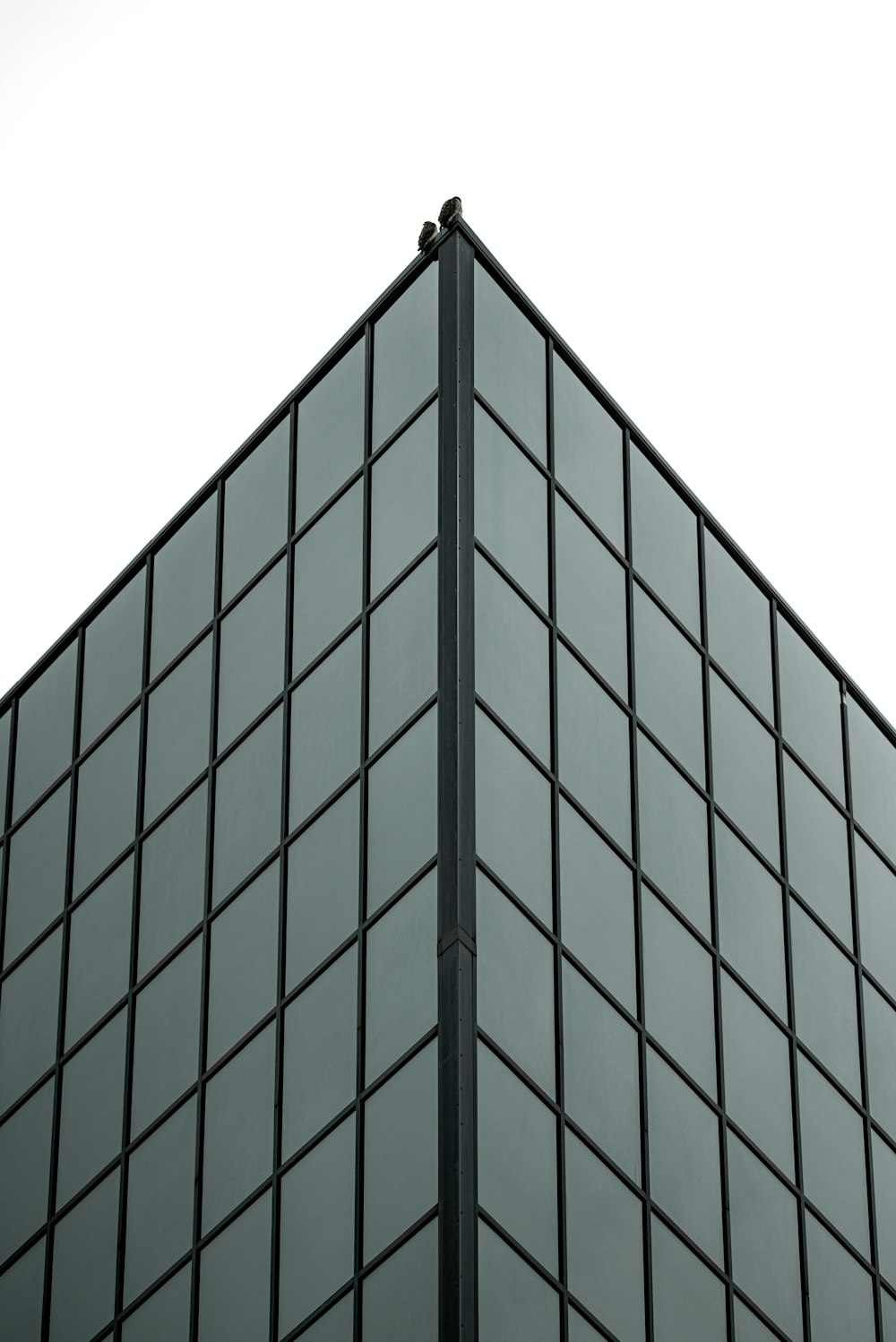 Edificio de hormigón gris y negro