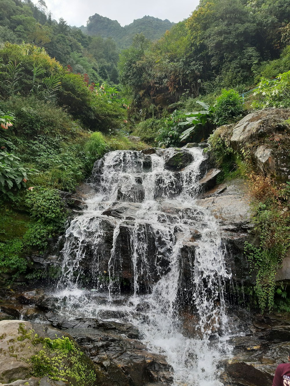 waterfalls in forest during daytime