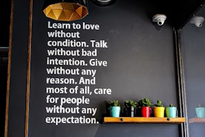 A wall with motivational text encouraging love, unconditional care, and selflessness is displayed in white letters. Below the text, a wooden shelf holds several small potted plants in colorful containers, adding vibrancy to the scene. The lighting fixture above has a geometric, modern design.