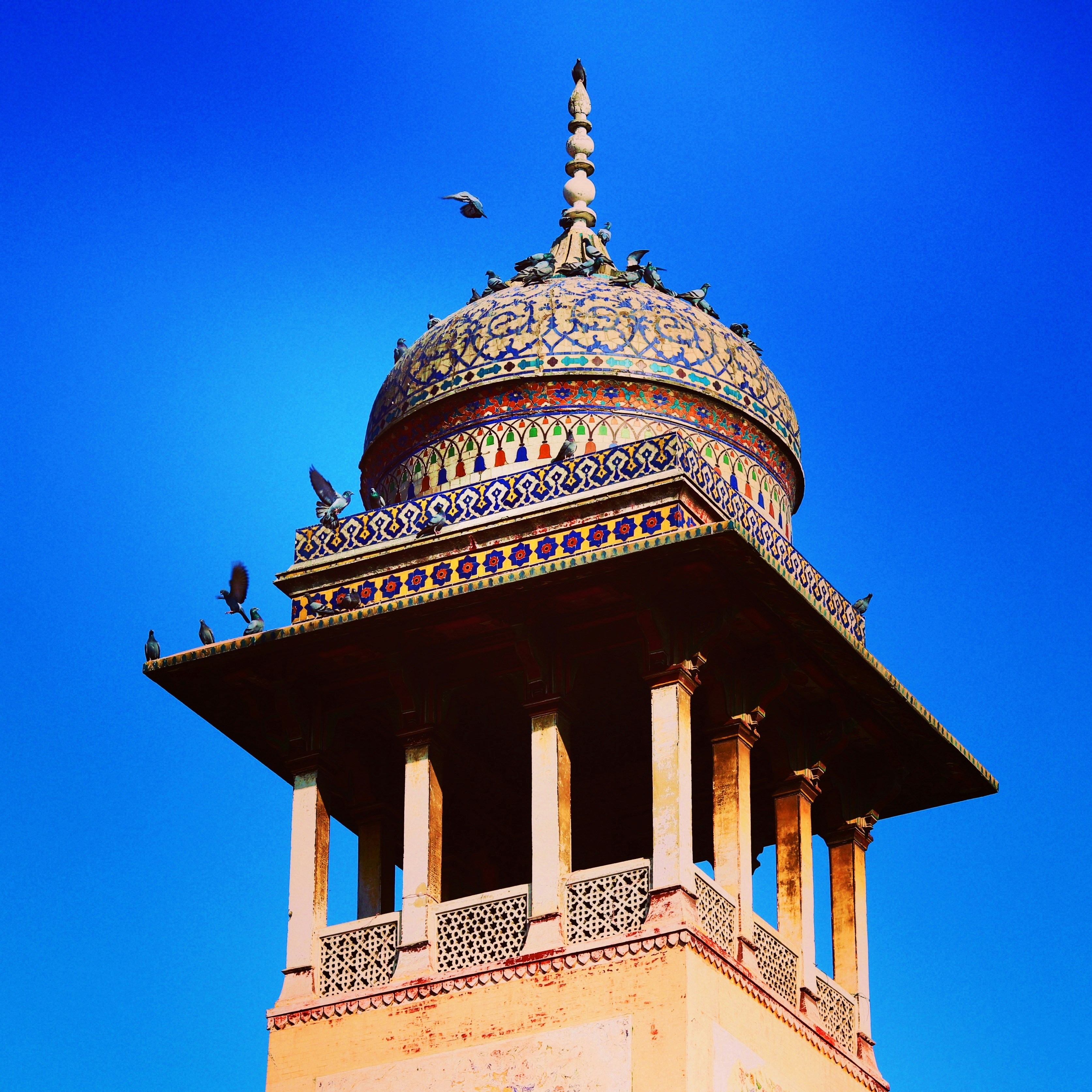 Photo by abuzarxheikh