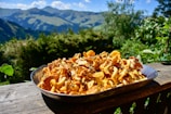 A metal tray filled with a large pile of chanterelle mushrooms is placed on a wooden surface. In the background, lush green trees and a clear blue sky overlook a scenic mountain range.