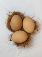 three poultry eggs