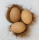 three poultry eggs
