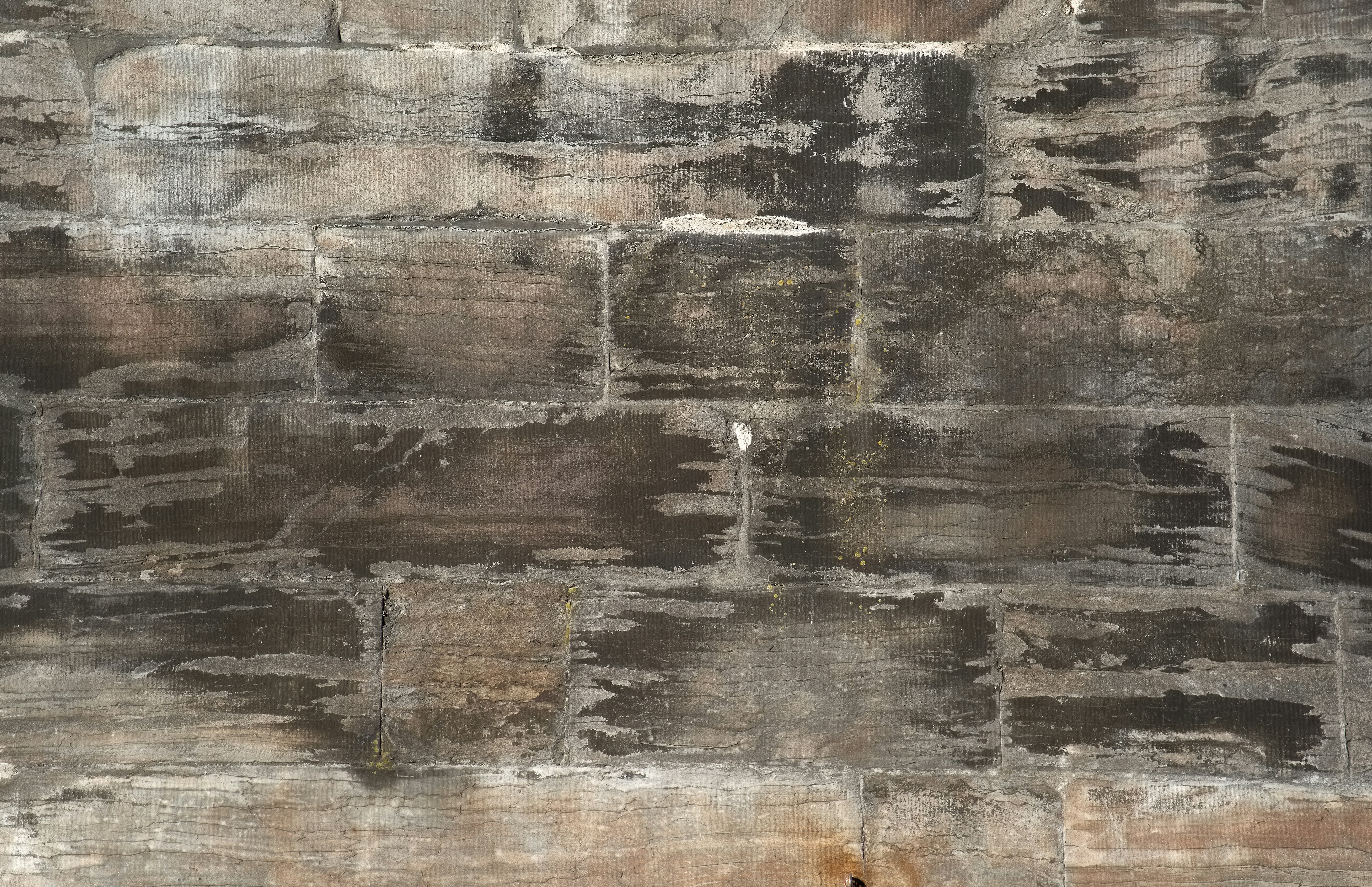 Photo by wolfgang_hasselmann