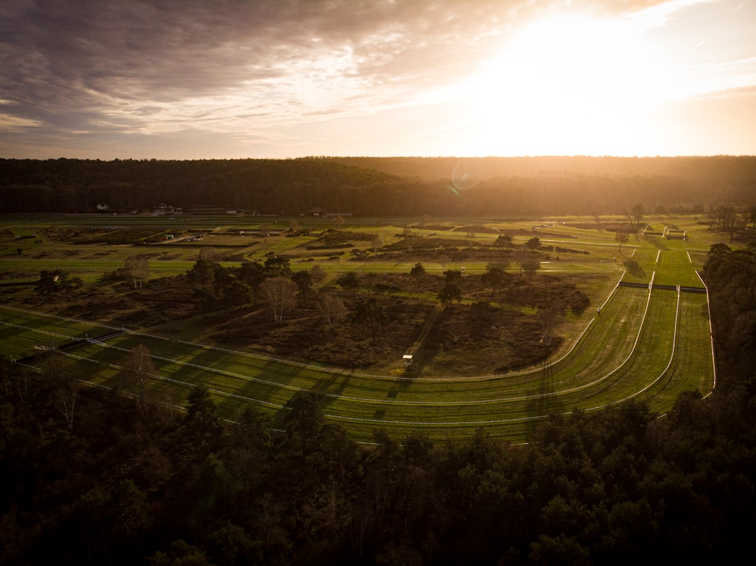 Travel Tips and Stories of 77300 Fontainebleau in France