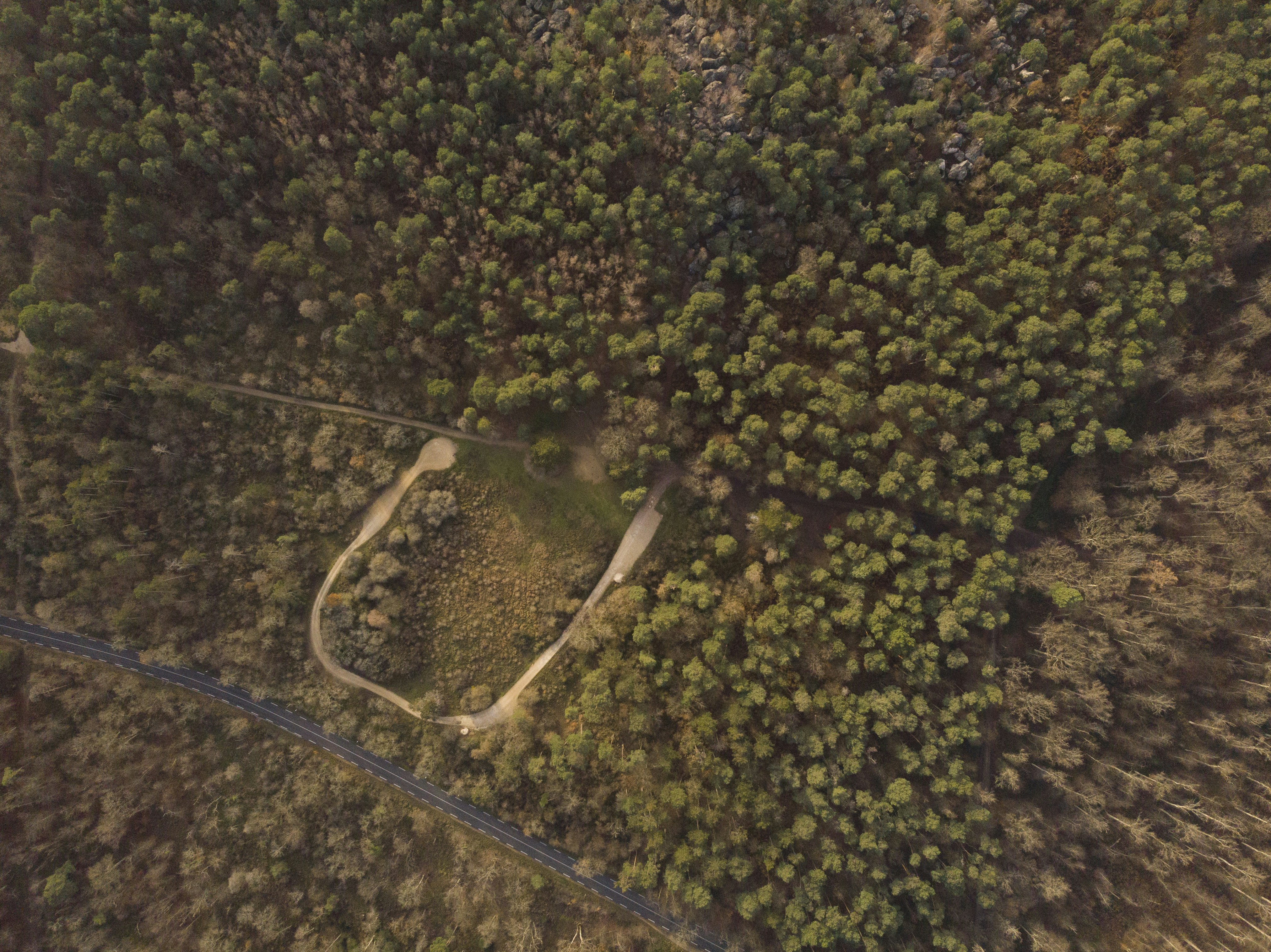 Photo by mistergooddeal