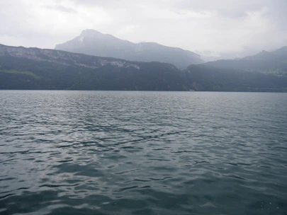 Close-up of gentle ripples on a dark, still lake under a muted indigo sky.