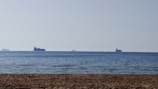 Several cargo ships are visible on the horizon of a calm sea under a clear blue sky. The foreground features a sandy beach, creating a serene and expansive seascape.