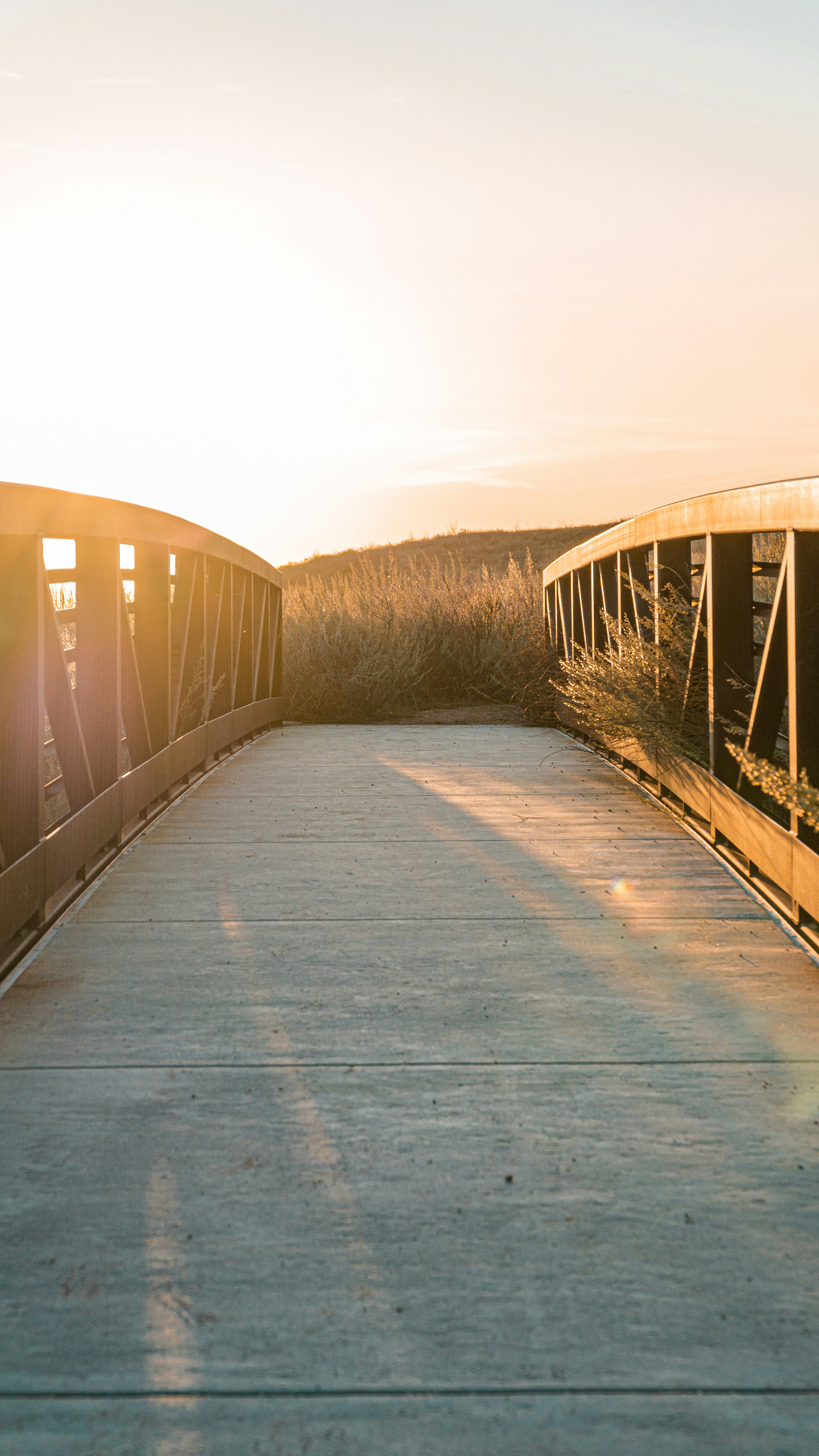 gray and black bridge during day