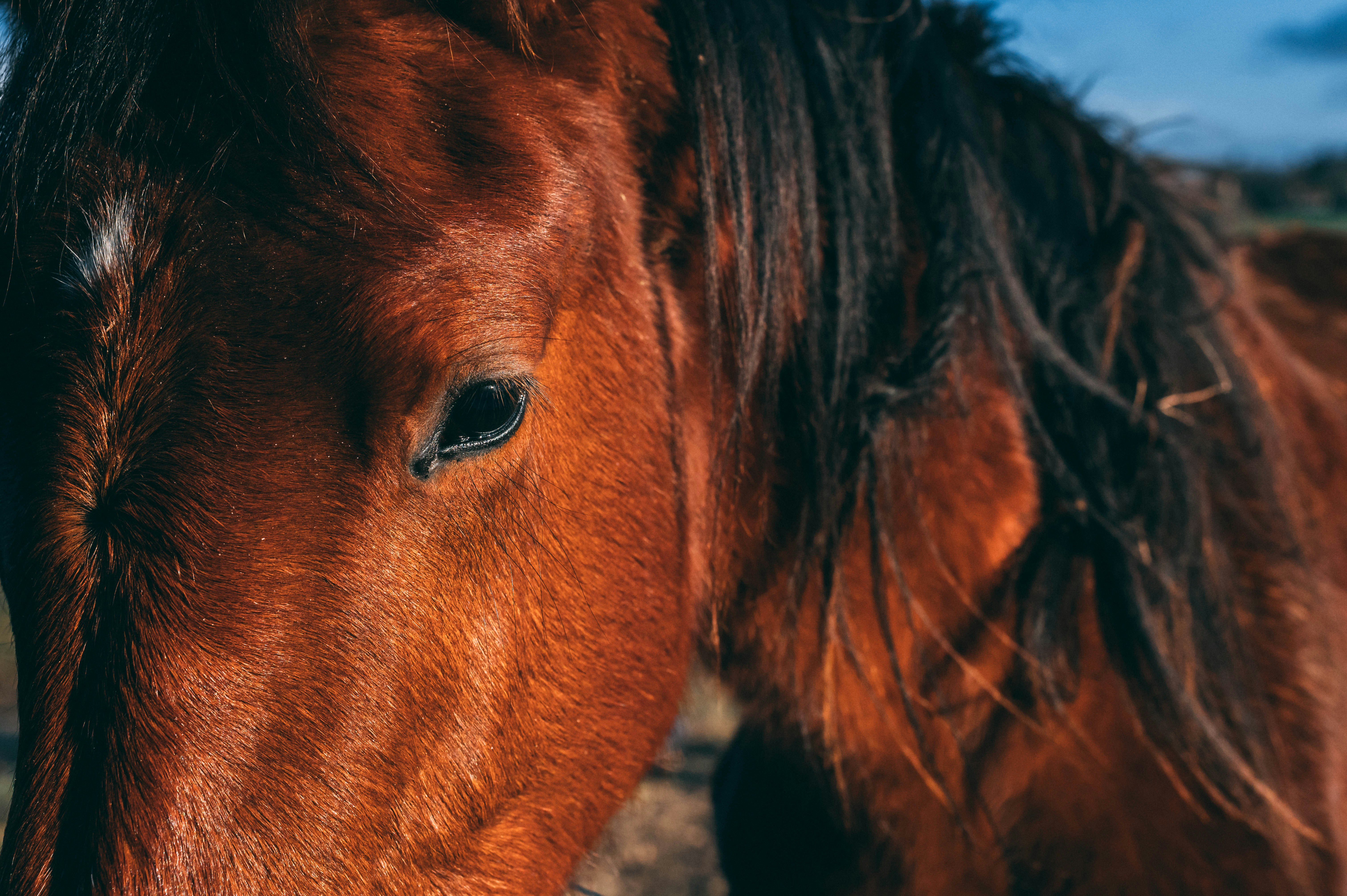 Photo by johannabuguet