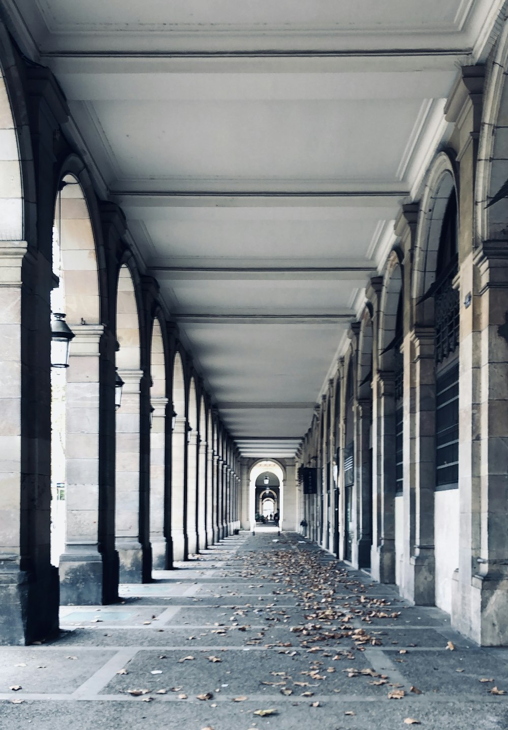 fallen leaves on hallway