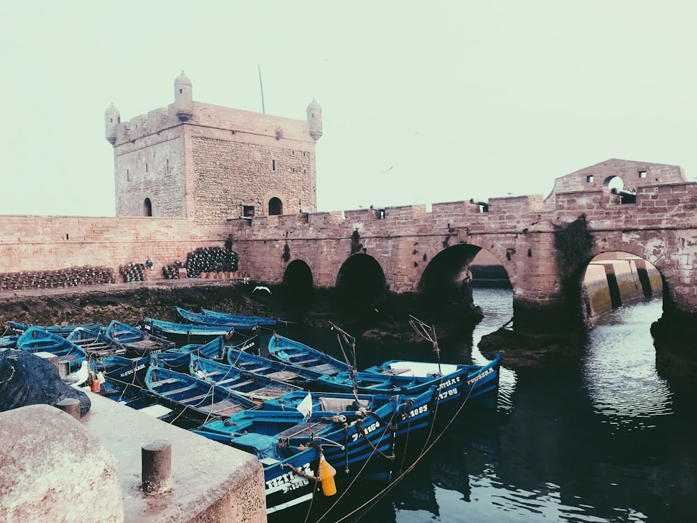 blue boats on dock during daytime