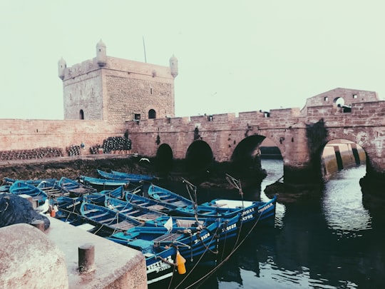 Essaouira Citadel things to do in Essaouira