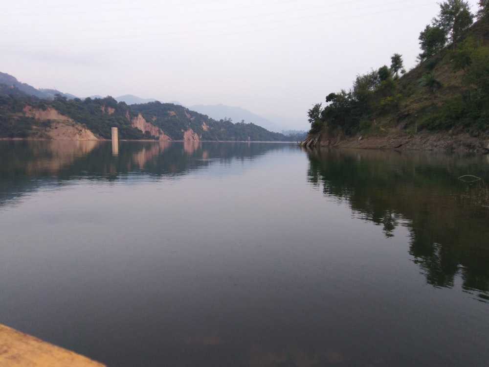 body of water and trees during day