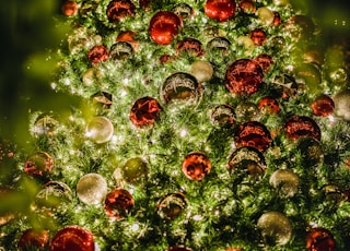 lighted red and green high-rise Christmas tree during night time