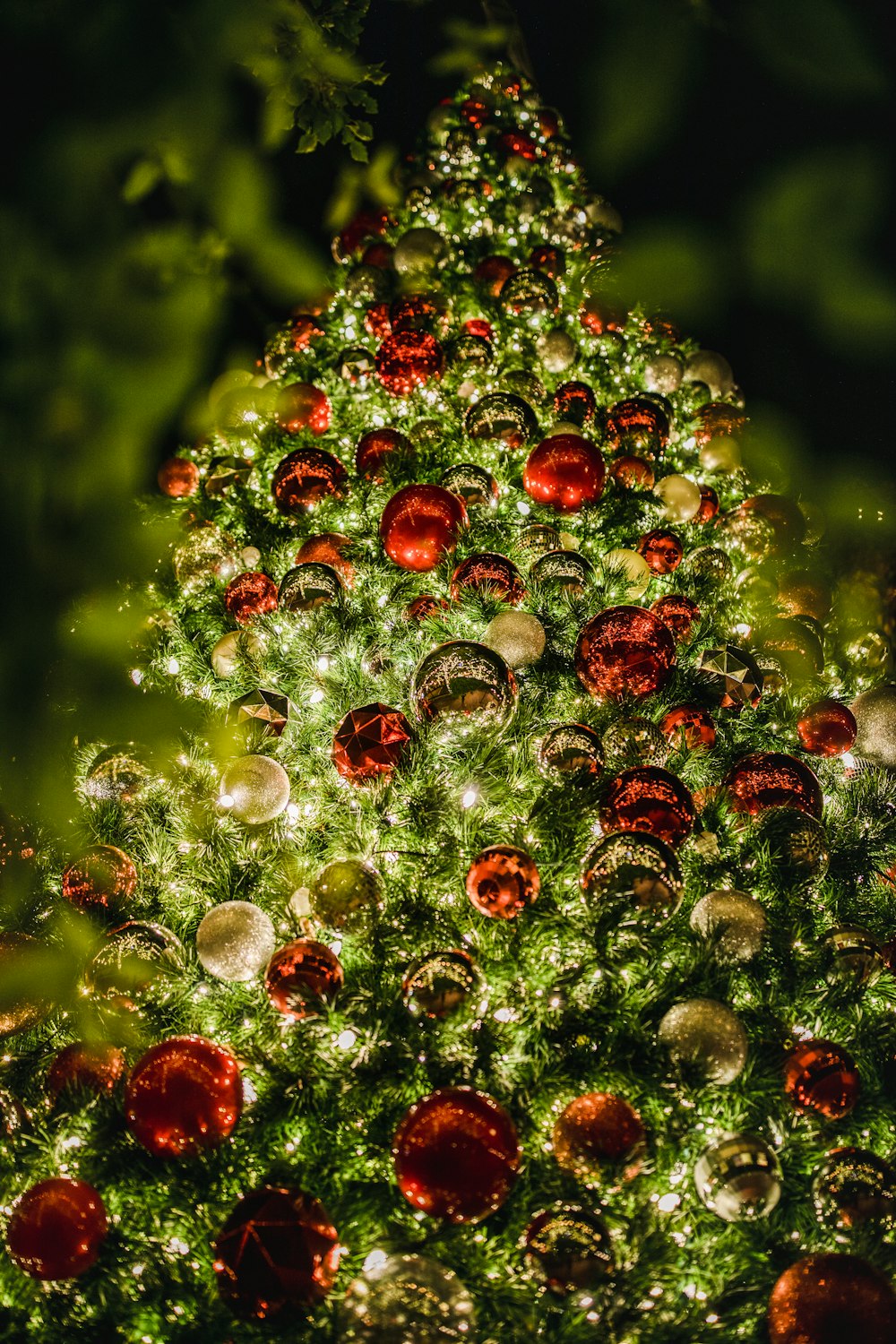 lighted red and green high-rise Christmas tree during night time