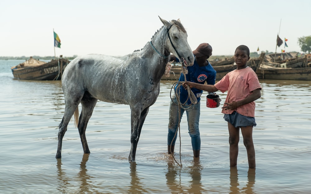 boys washing horse