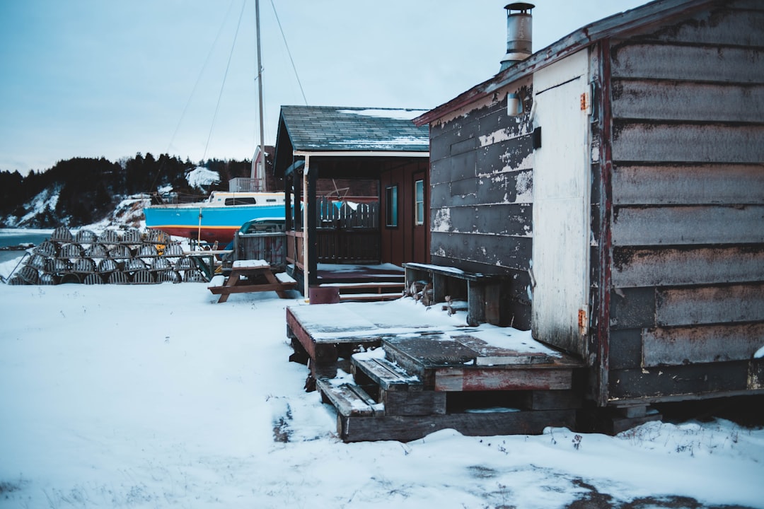 brown and black house covered by snow