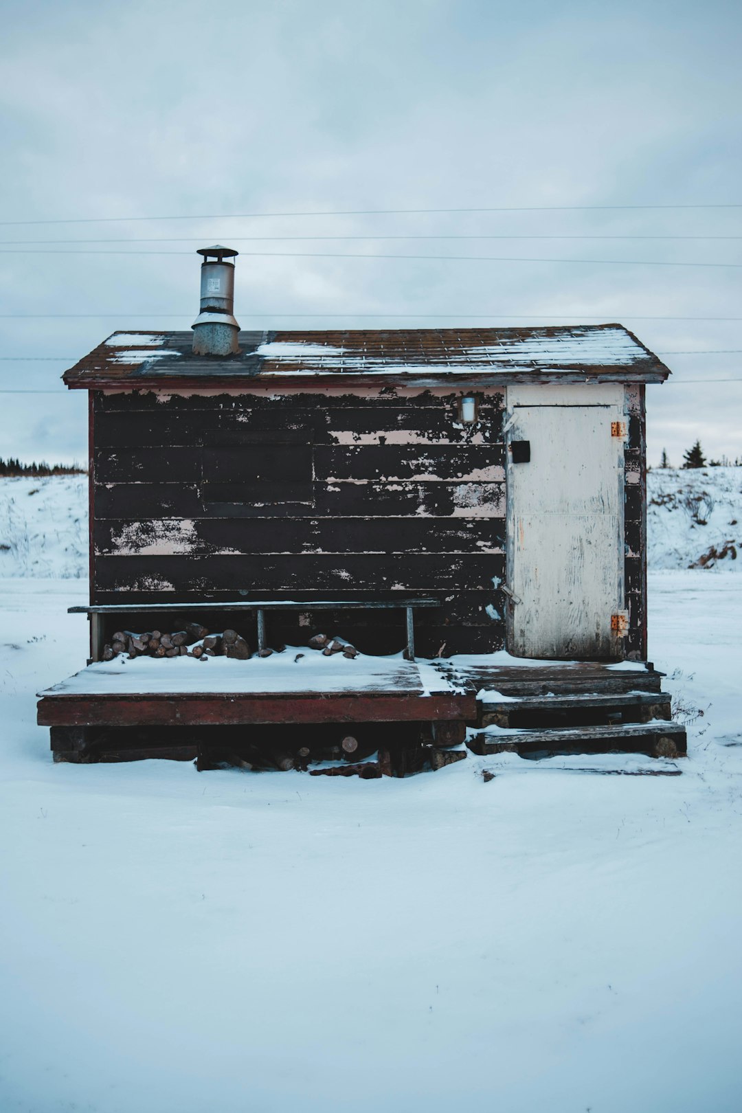 brown and white shed