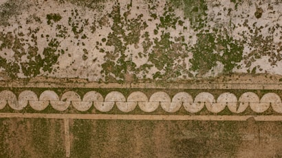 A textured wall with a combination of exposed patches of green and brown mold or mildew. There is a decorative border with circular patterns running horizontally.
