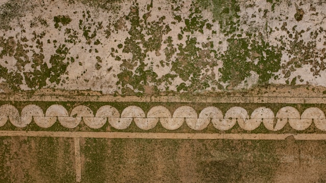 A textured wall with a combination of exposed patches of green and brown mold or mildew. There is a decorative border with circular patterns running horizontally.