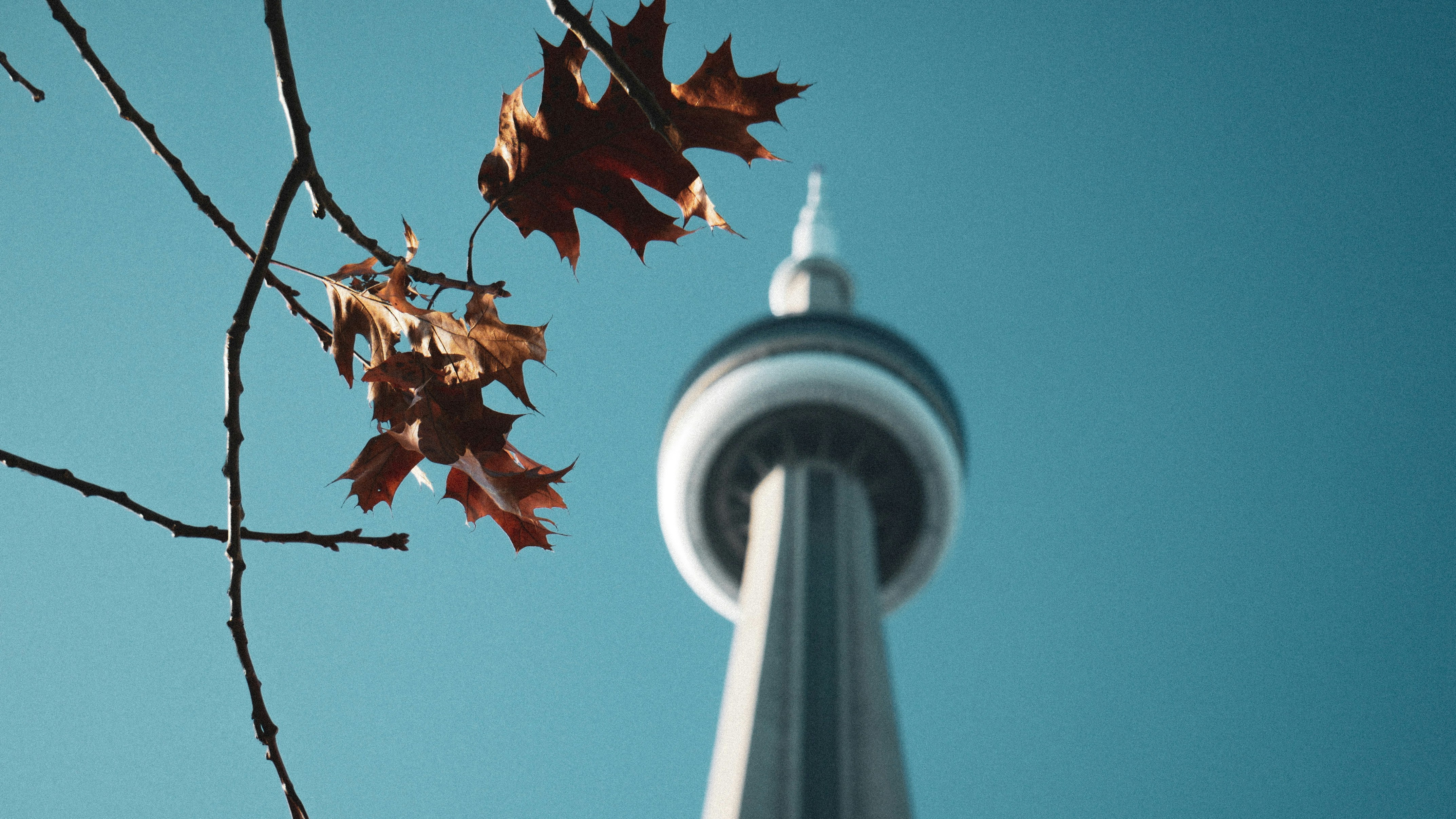 CN Tower