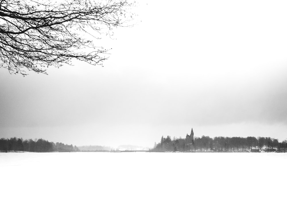 snowfield and trees during day