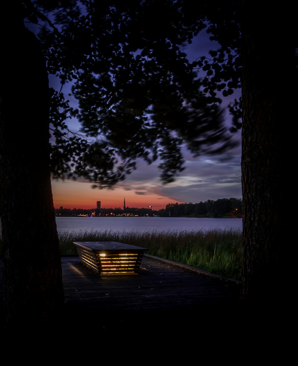 black light under tree near body of water