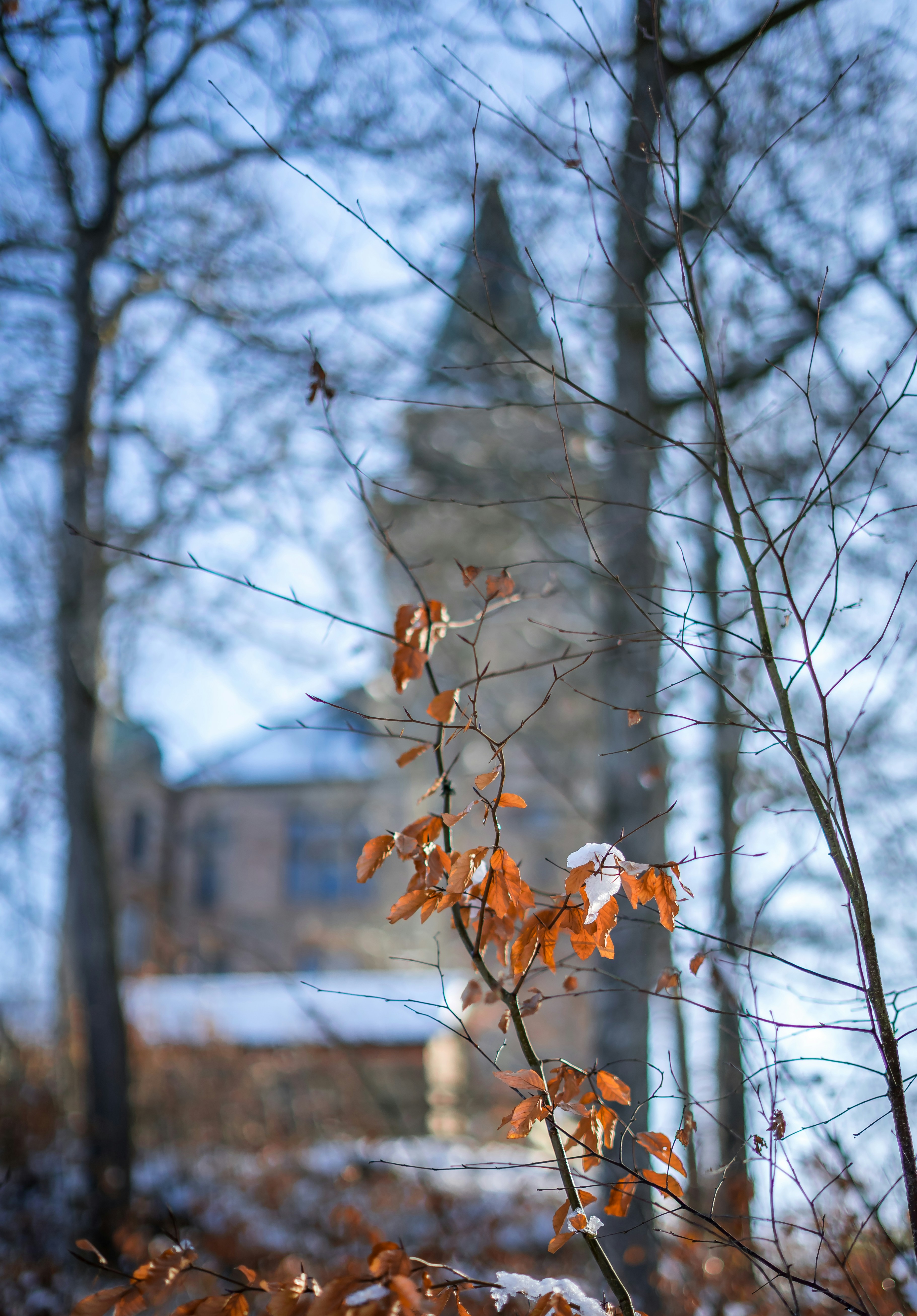Photo by denhod