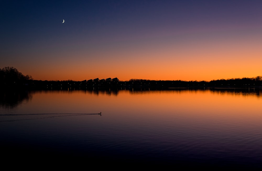 body of water and trees during golden hour