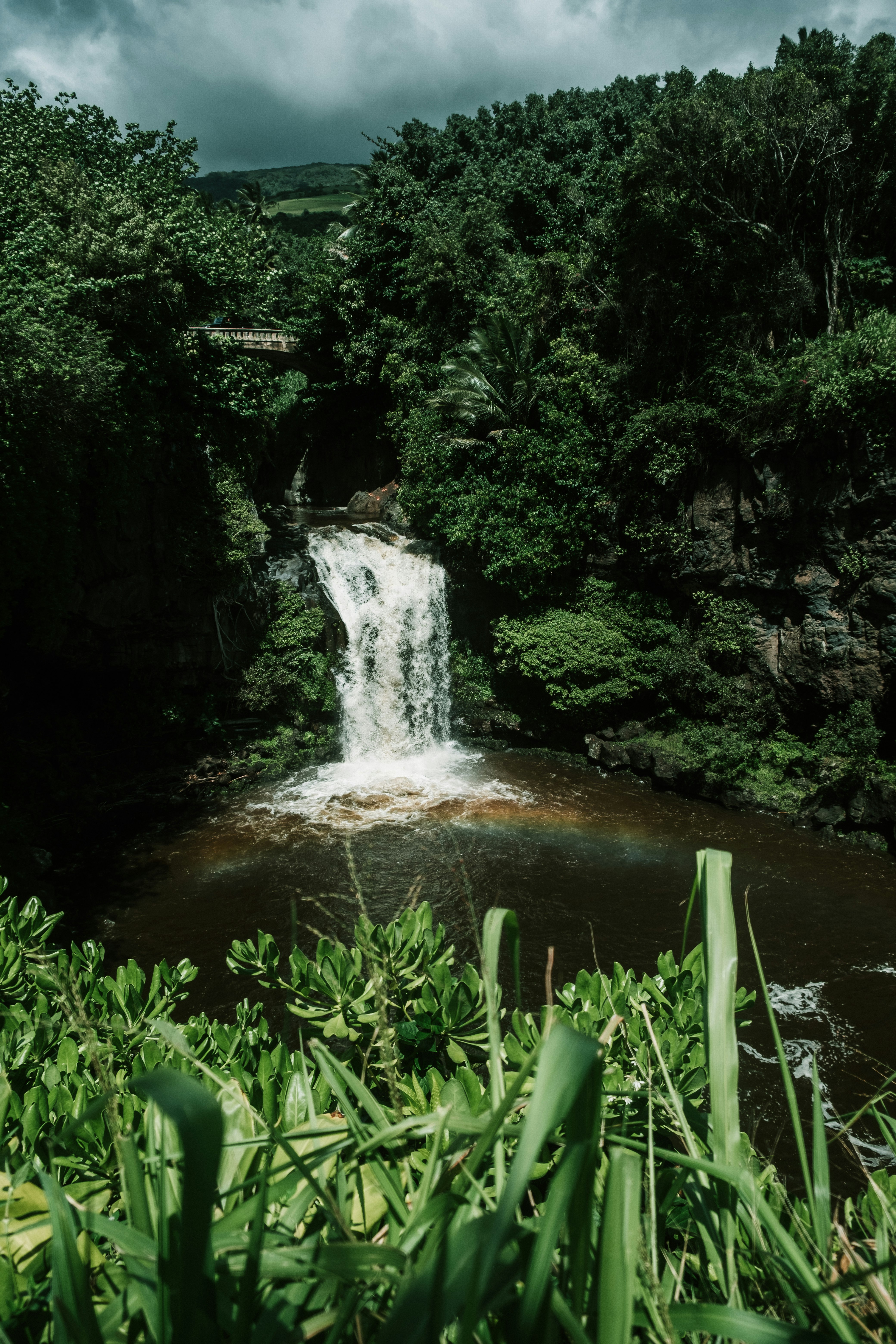 A large waterfall surrounded by lush forest in Maui. Part of the "Seven Sacred Pools."
