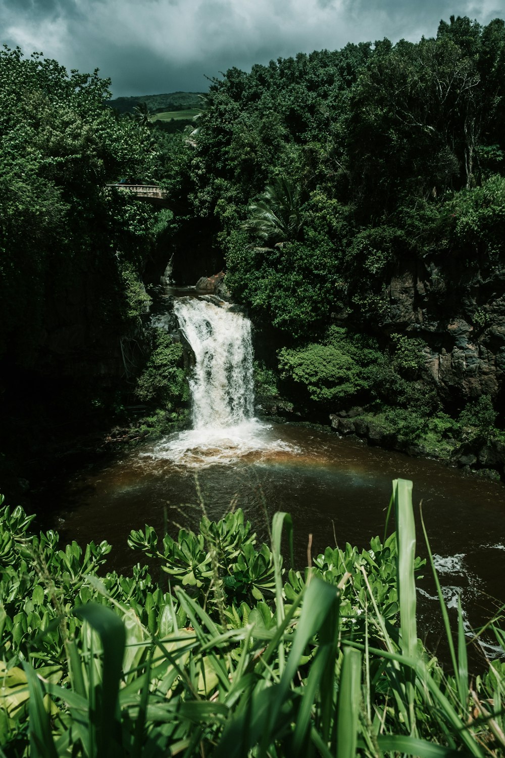 waterfall in forest