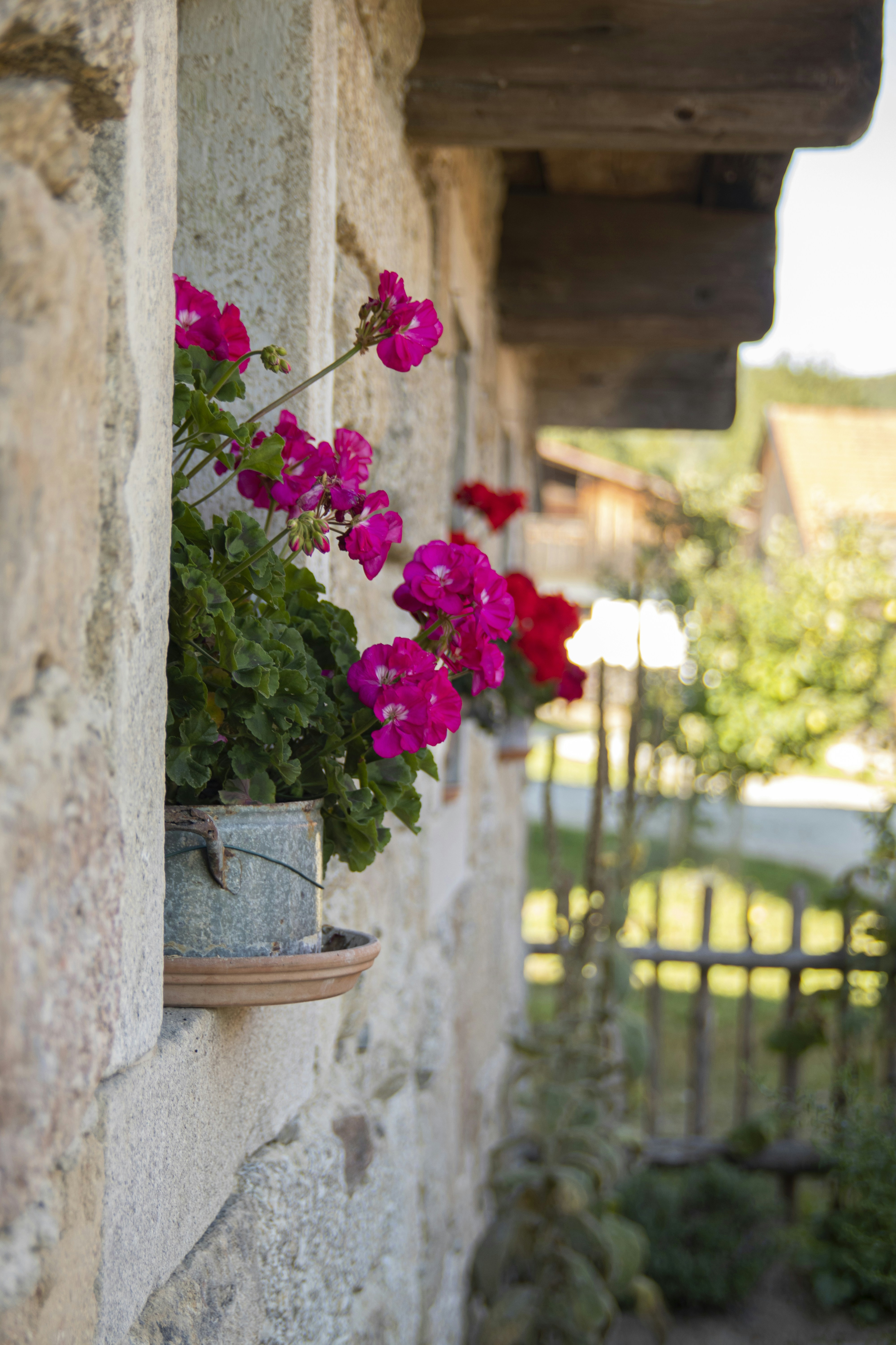 Photo by breadcrumbs