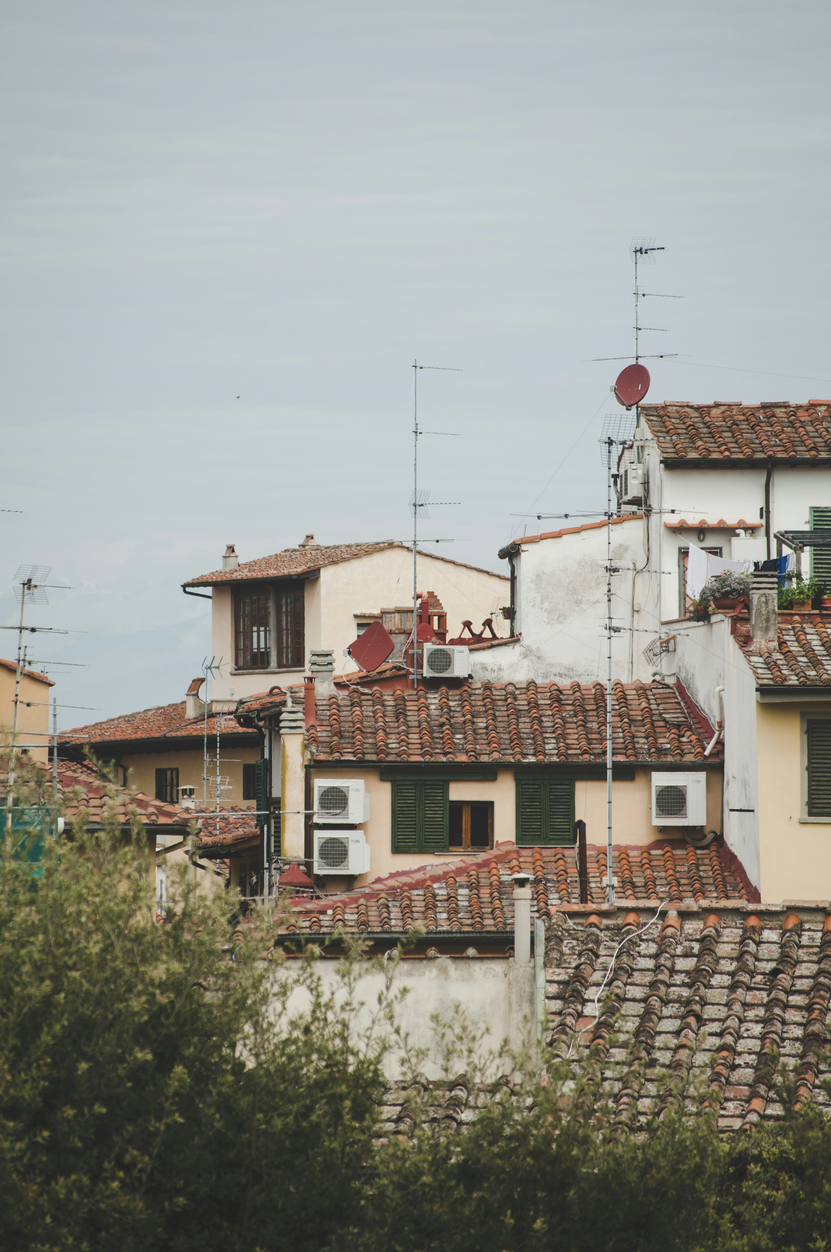 Photo by yuli_superson