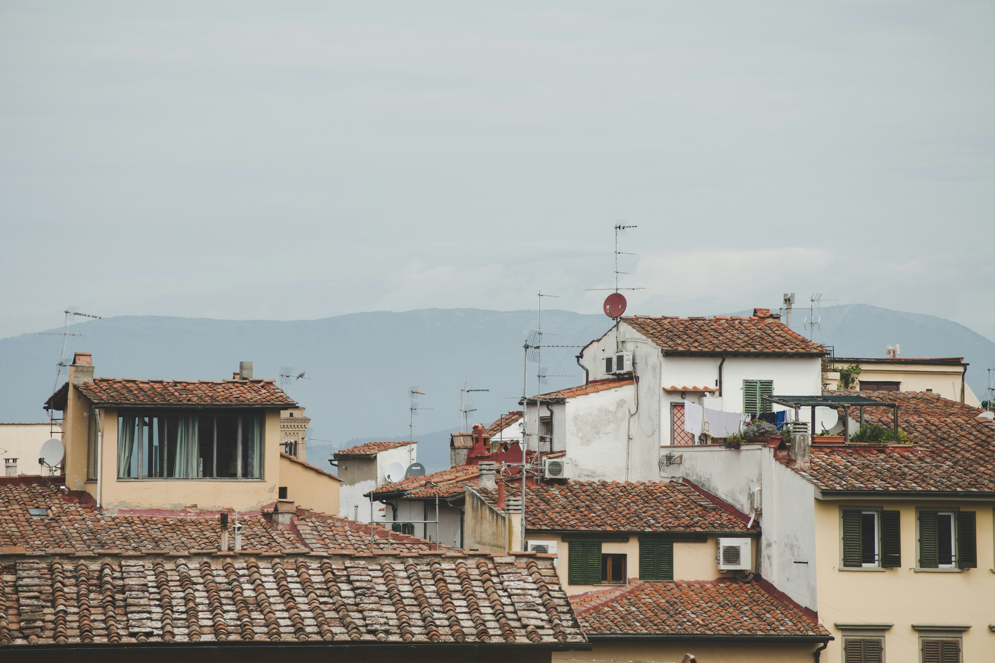 Photo by yuli_superson