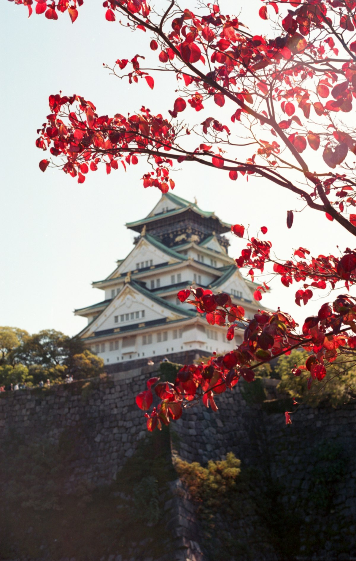 Osaka October — Osaka Castle keep surrounded by autumn leaves turning gold and red