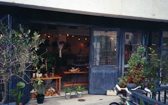 Wide shot of the cozy Luzvía store interior with dark green accents and automotive parts