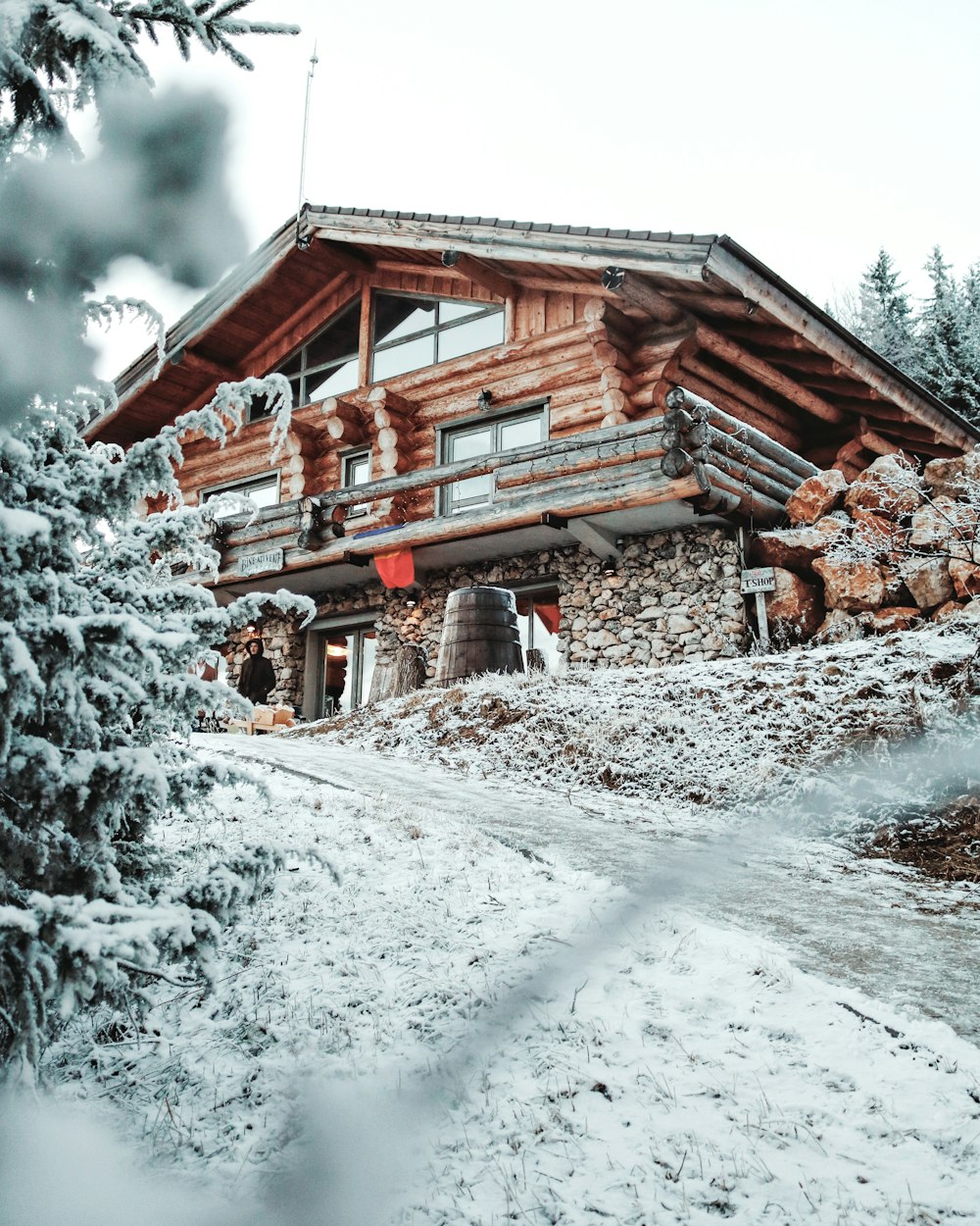 casa coberta de neve e árvores durante o dia