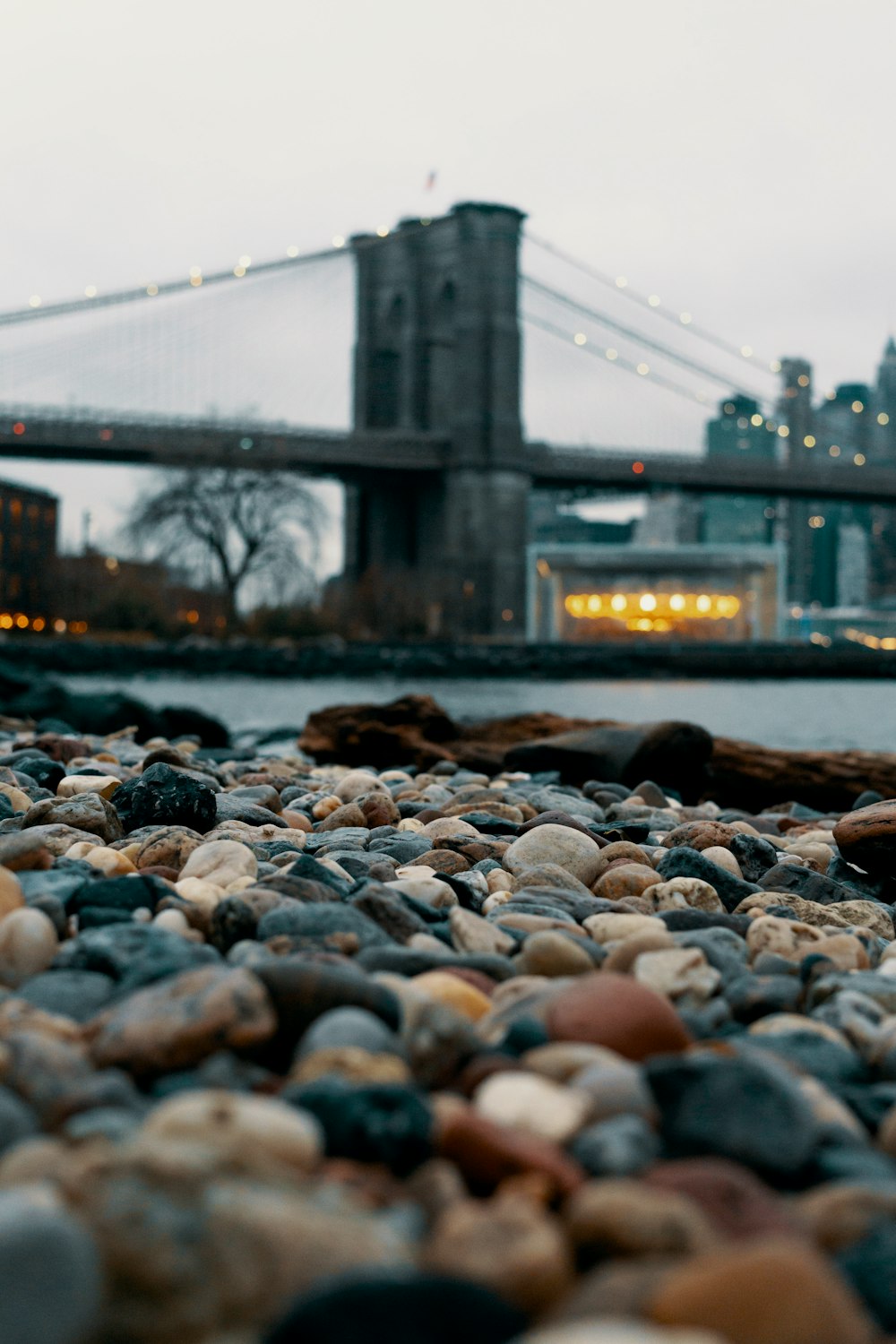 Makrofotografie von Steinen in der Nähe eines Gewässers mit Blick auf die Brooklyn Bridge in New York City bei Tag